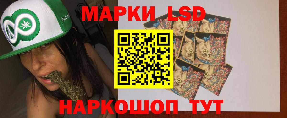 ссылка на мегу ссылки  ЛСД экстази ecstasy  Вход с VPN  Елизово  LSD-25 экстази ecstasy 