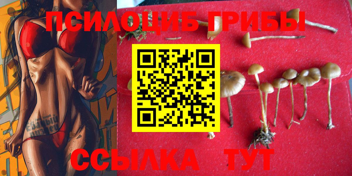 Елизово  Псилоцибиновые грибы Magic Shrooms  Вход с VPN 