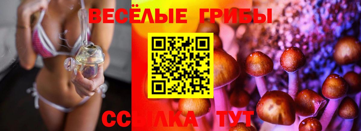 Псилоцибиновые грибы MAGIC MUSHROOMS Елизово